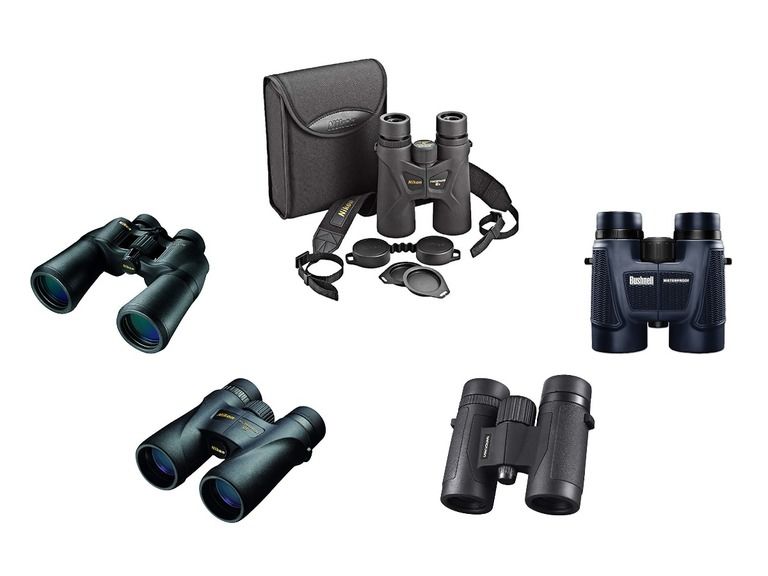 Top 5 Best Binoculars For Alaska Cruise Sep 2021 Reviews Guide Top 5 Best Binoculars For Alaska Cruise Sep 2021 Reviews Guide