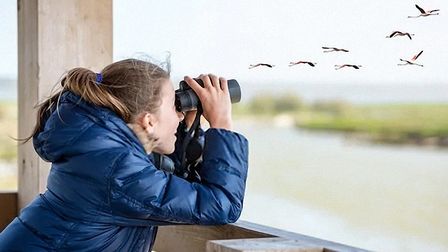 best lightweight binoculars for bird watching