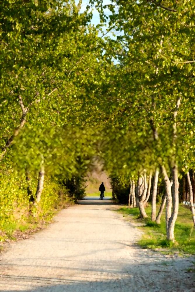 longest paved bike trails in us